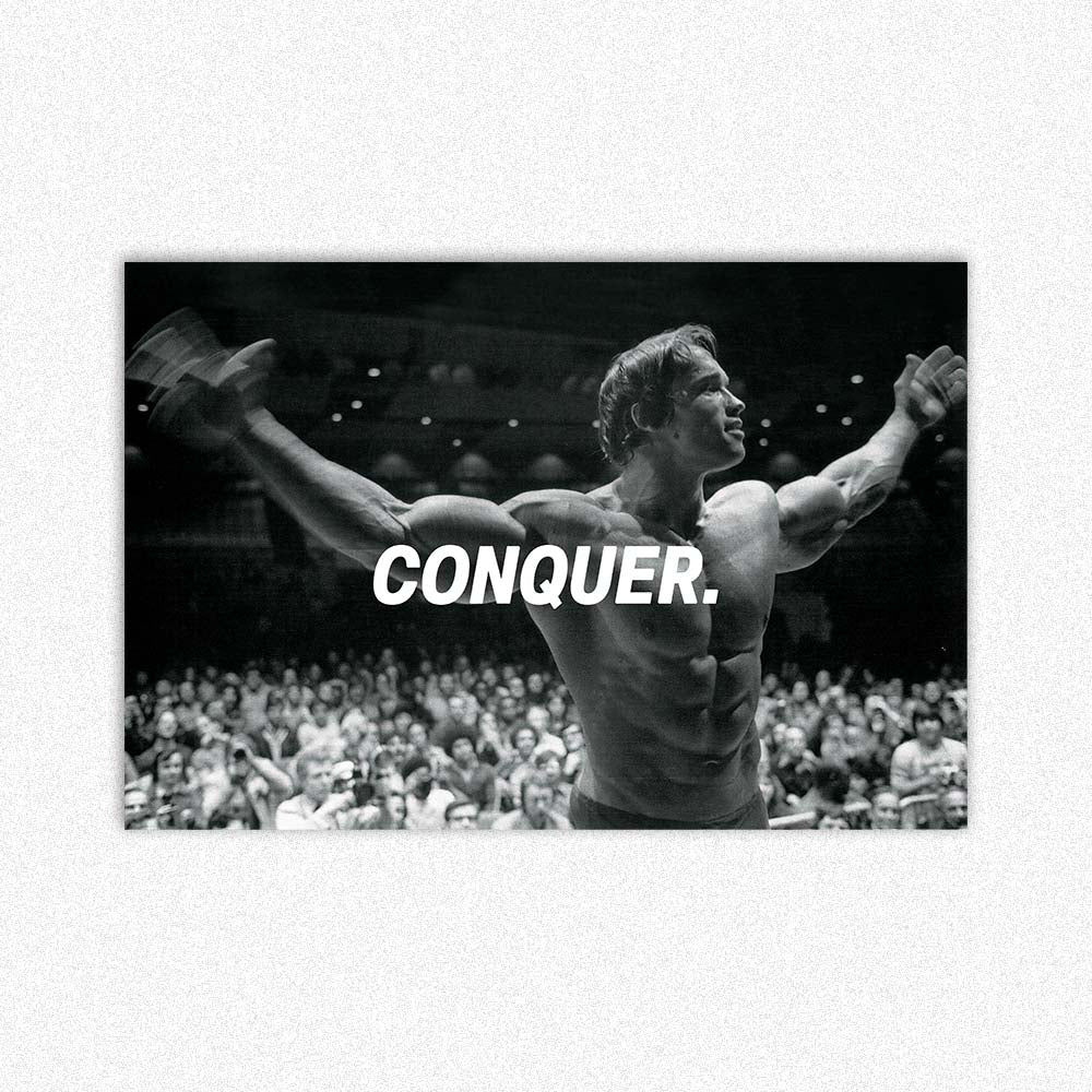 ARNOLD SCHWARZENEGGER 01