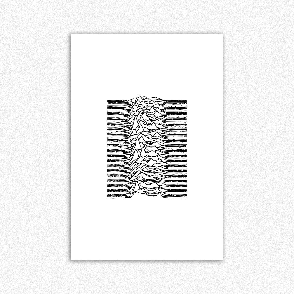 JOY DIVISION 01