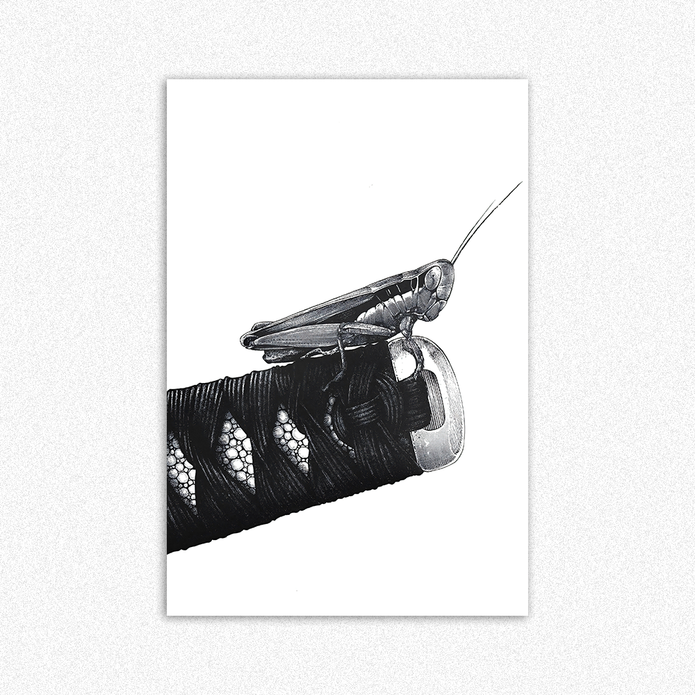 VAGABOND 02